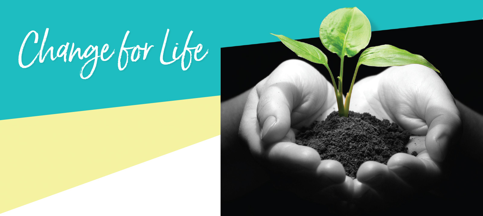 Change for life banner